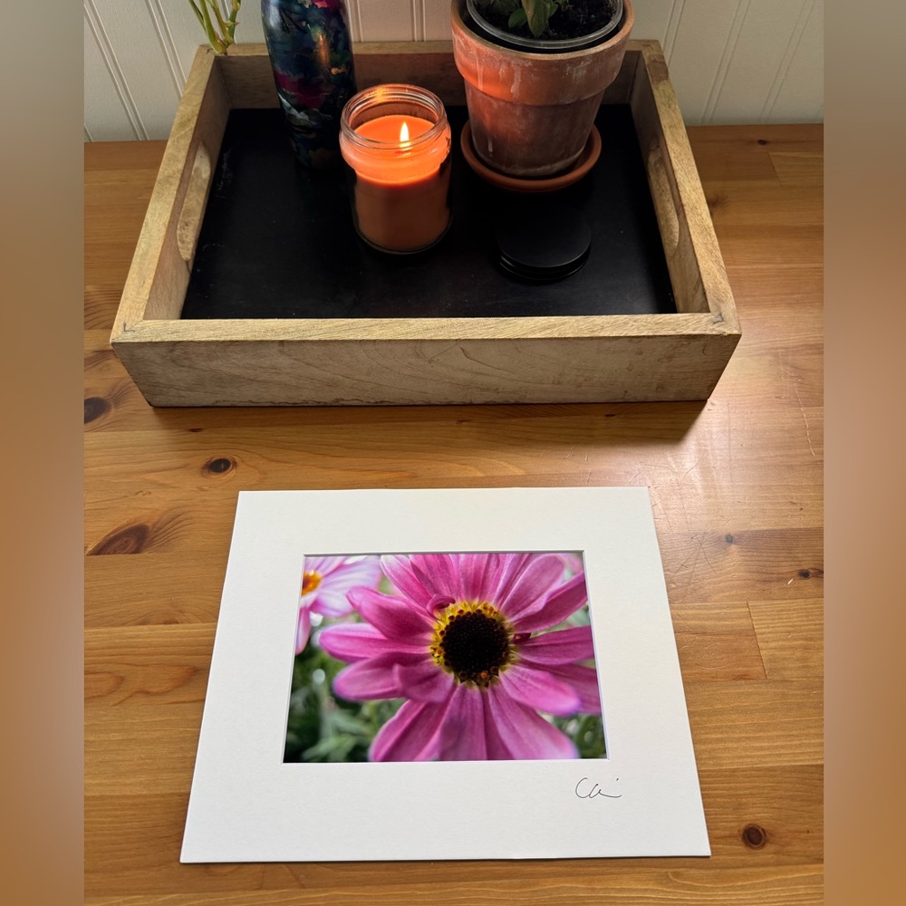New Original Signed Photography
